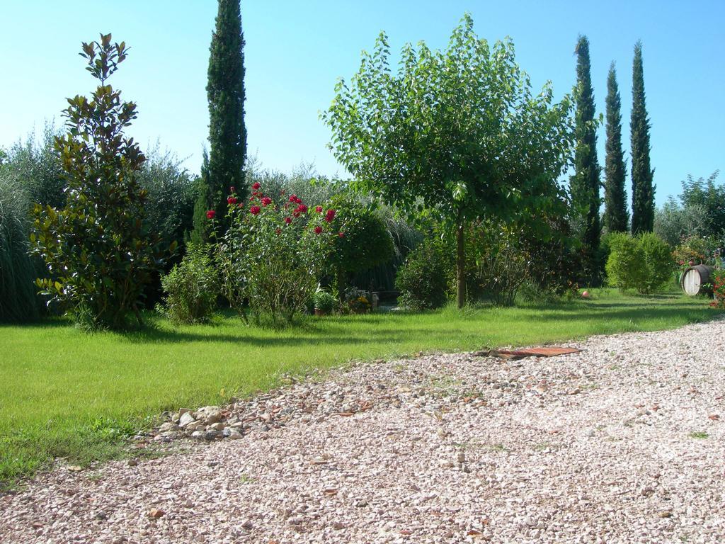 Bed and breakfast Vista Assise Extérieur photo