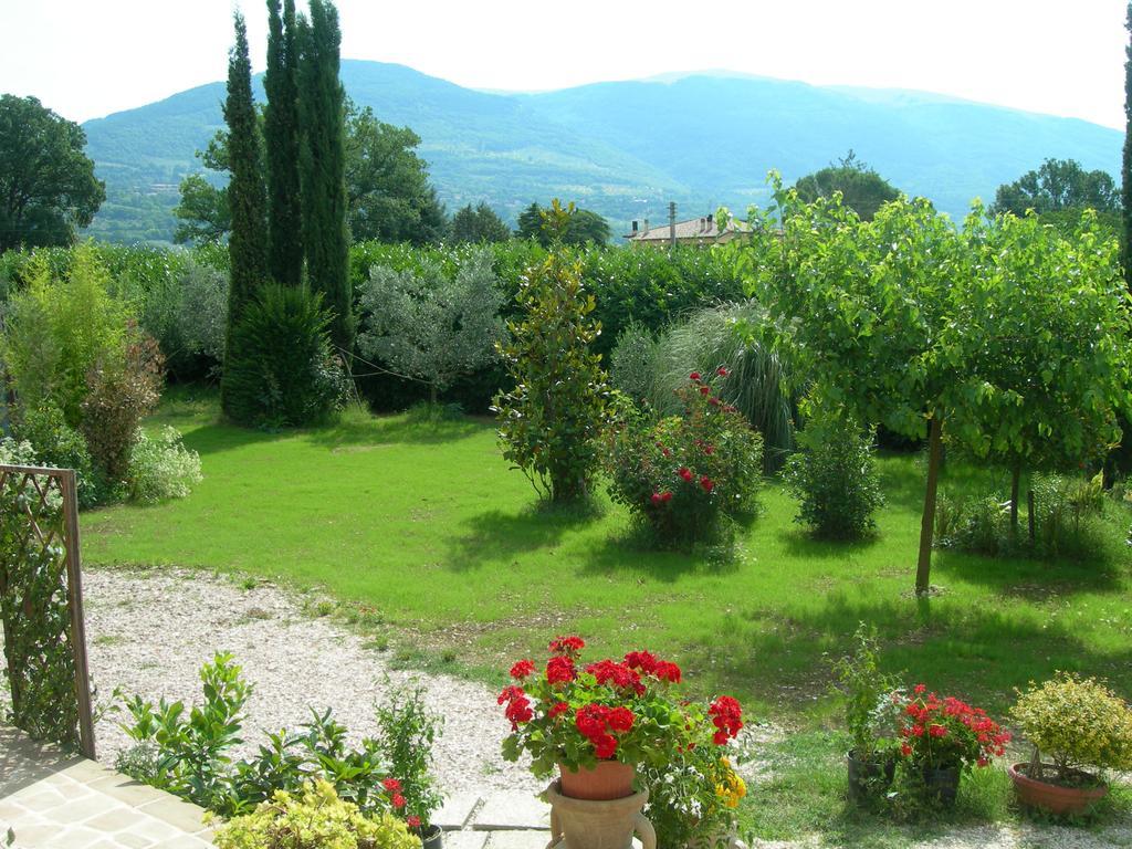 Bed and breakfast Vista Assise Extérieur photo